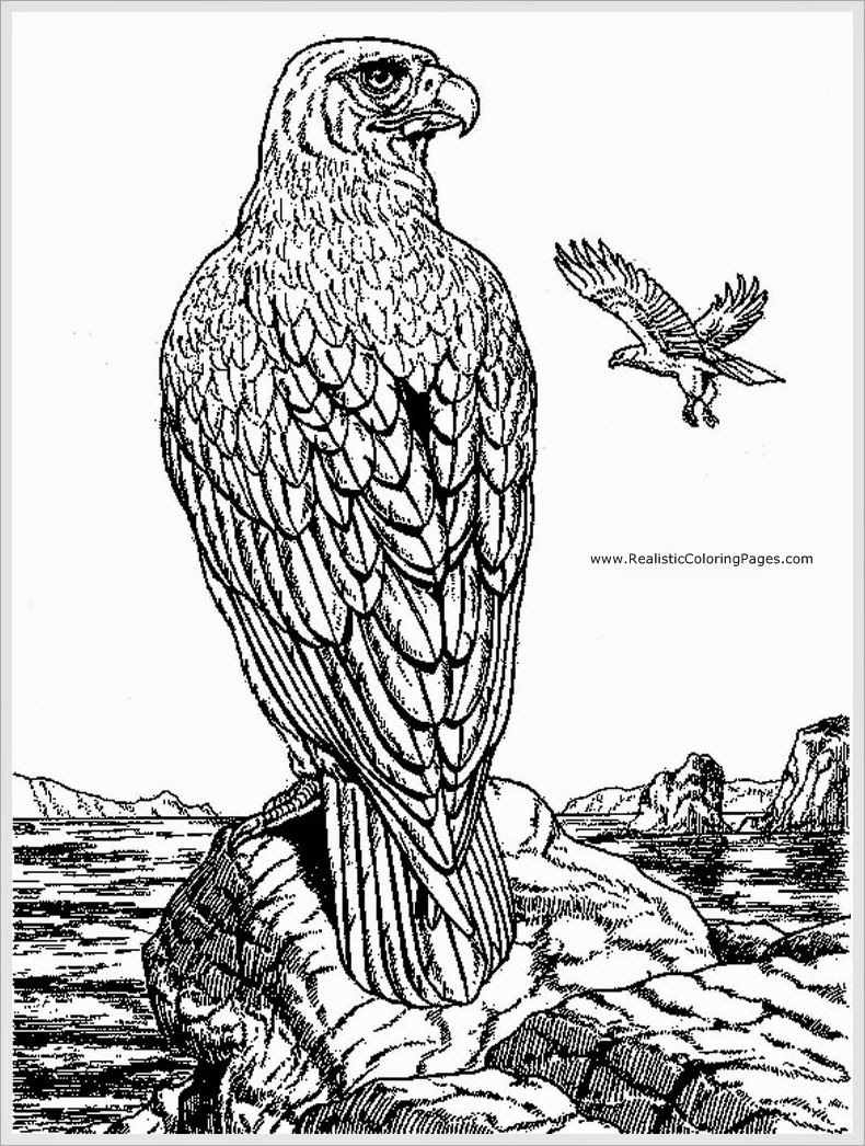 Disegno da colorare: Aquila (Animali) #324 - Pagine da Colorare Stampabili Gratuite