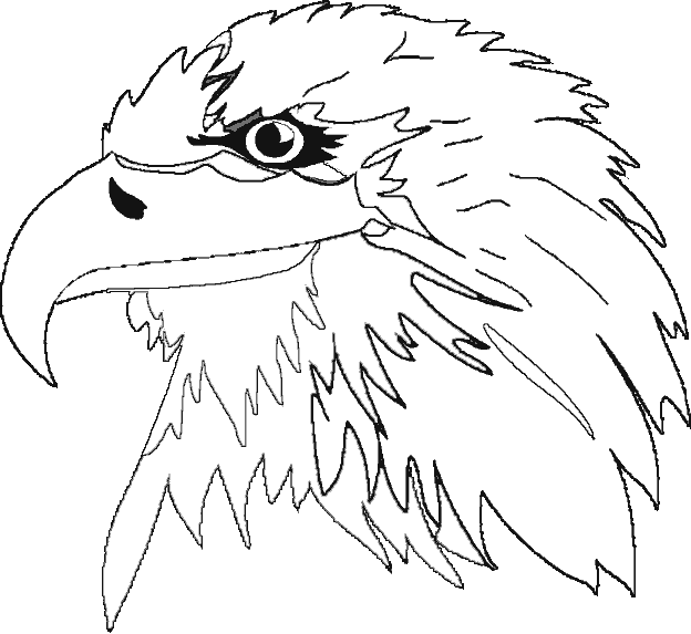 Disegno da colorare: Aquila (Animali) #341 - Pagine da Colorare Stampabili Gratuite