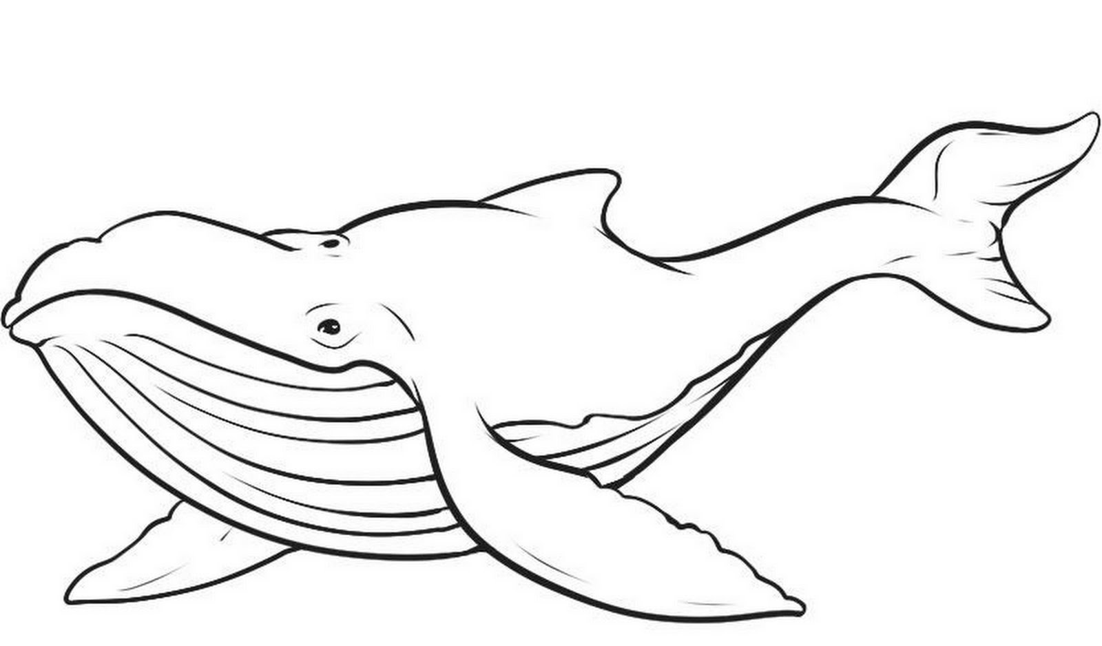 Disegno da colorare: Balena (Animali) #865 - Pagine da Colorare Stampabili Gratuite