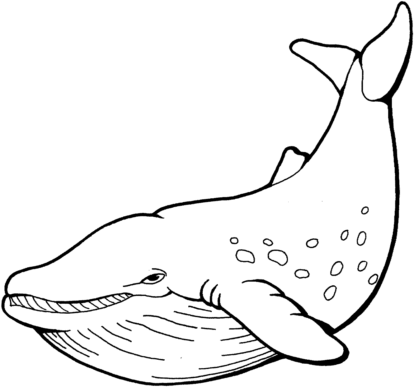 Disegno da colorare: Balena (Animali) #866 - Pagine da Colorare Stampabili Gratuite