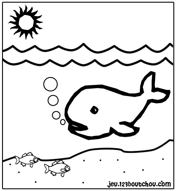 Disegno da colorare: Balena (Animali) #867 - Pagine da Colorare Stampabili Gratuite