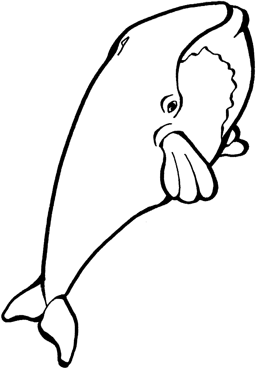 Disegno da colorare: Balena (Animali) #880 - Pagine da Colorare Stampabili Gratuite