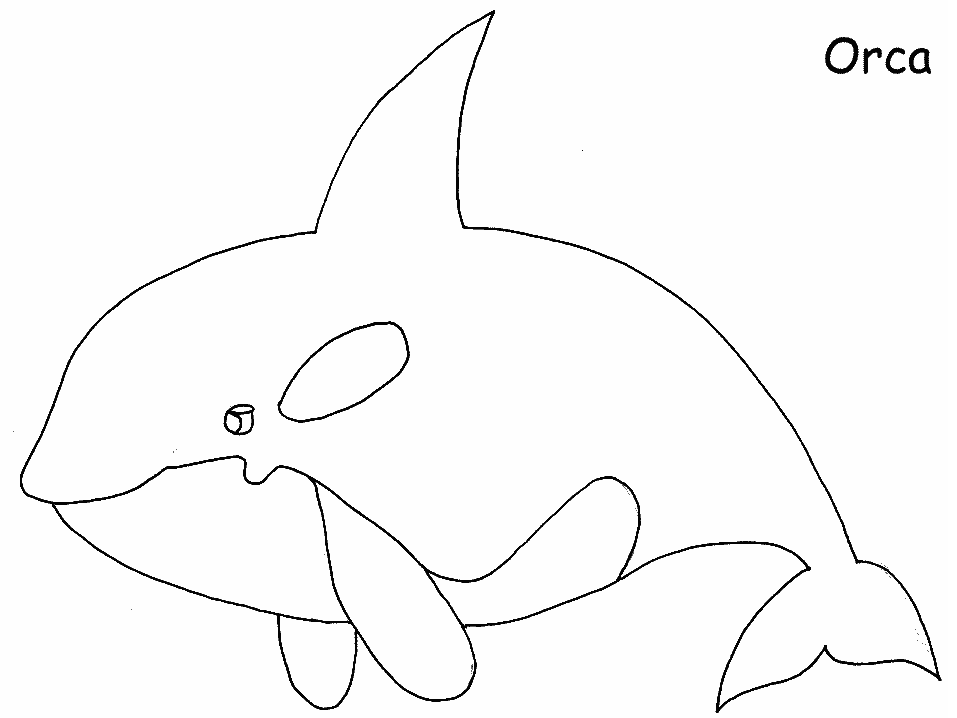 Disegno da colorare: Balena (Animali) #891 - Pagine da Colorare Stampabili Gratuite
