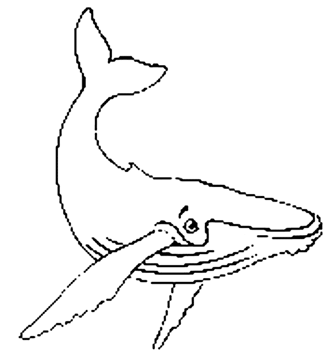 Disegno da colorare: Balena (Animali) #894 - Pagine da Colorare Stampabili Gratuite