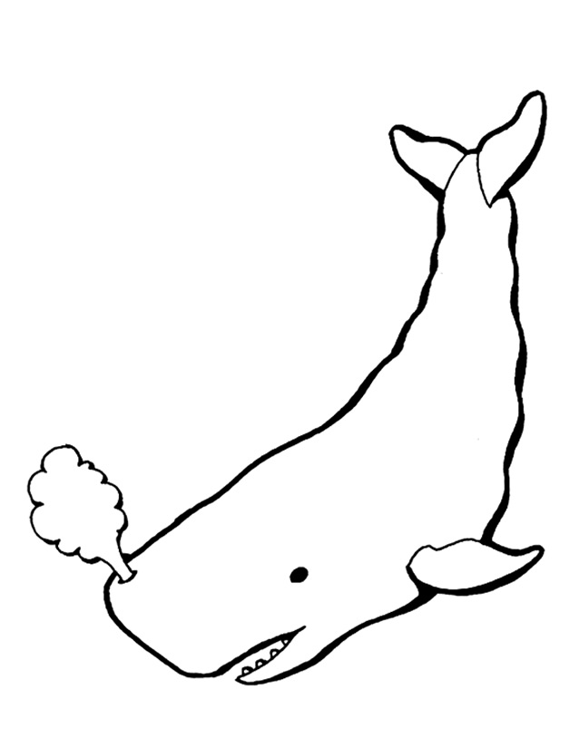 Disegno da colorare: Balena (Animali) #896 - Pagine da Colorare Stampabili Gratuite