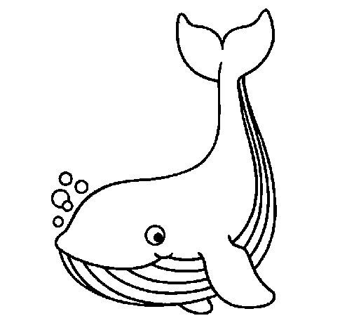 Disegno da colorare: Balena (Animali) #906 - Pagine da Colorare Stampabili Gratuite