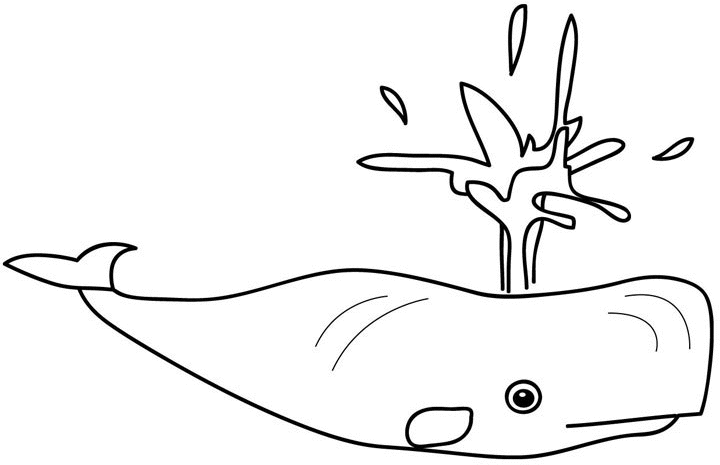 Disegno da colorare: Balena (Animali) #908 - Pagine da Colorare Stampabili Gratuite