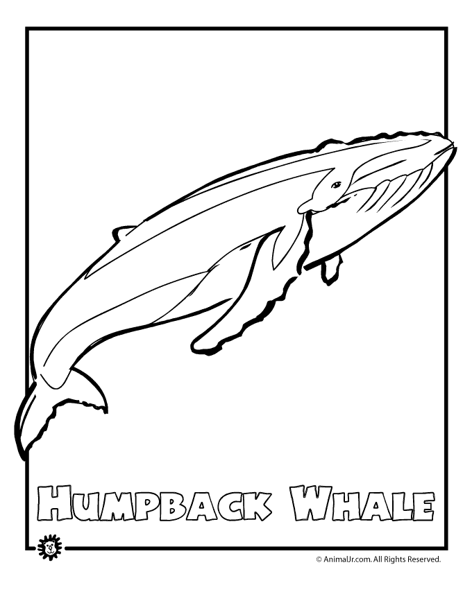 Disegno da colorare: Balena (Animali) #915 - Pagine da Colorare Stampabili Gratuite