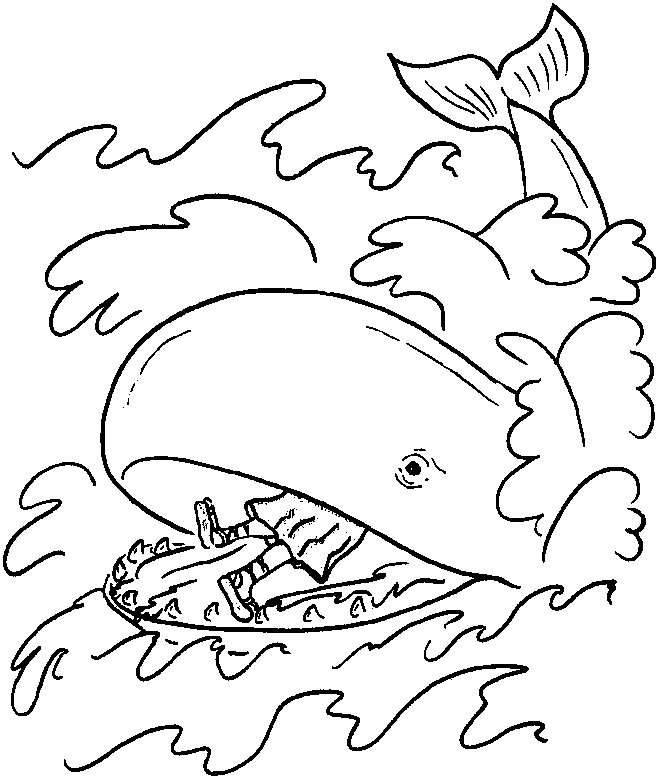 Disegno da colorare: Balena (Animali) #916 - Pagine da Colorare Stampabili Gratuite