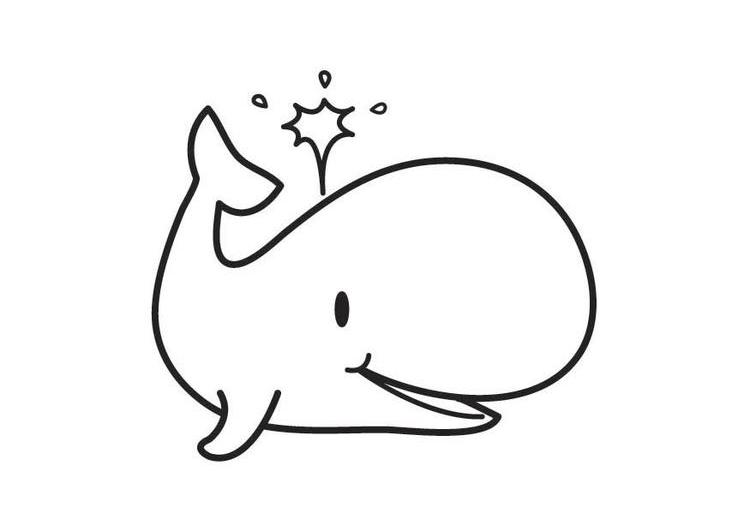 Disegno da colorare: Balena (Animali) #918 - Pagine da Colorare Stampabili Gratuite