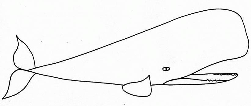 Disegno da colorare: Balena (Animali) #929 - Pagine da Colorare Stampabili Gratuite