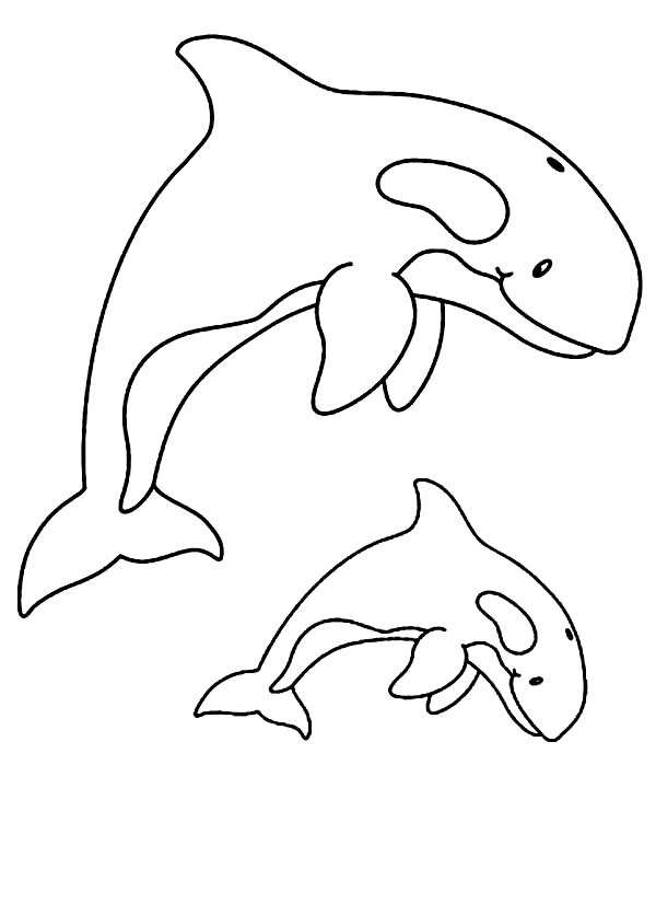 Disegno da colorare: Balena (Animali) #932 - Pagine da Colorare Stampabili Gratuite