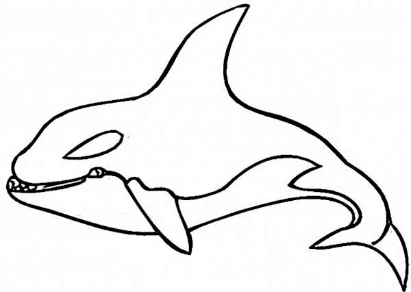 Disegno da colorare: Balena (Animali) #941 - Pagine da Colorare Stampabili Gratuite