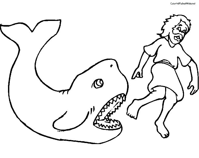 Disegno da colorare: Balena (Animali) #956 - Pagine da Colorare Stampabili Gratuite