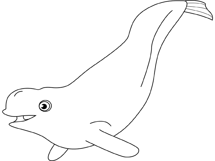 Disegno da colorare: Beluga (Animali) #1049 - Pagine da Colorare Stampabili Gratuite