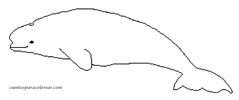 Disegno da colorare: Beluga (Animali) #1063 - Pagine da Colorare Stampabili Gratuite