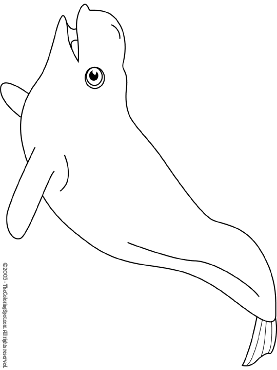 Disegno da colorare: Beluga (Animali) #1064 - Pagine da Colorare Stampabili Gratuite