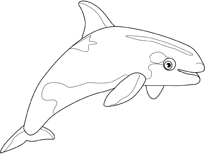 Disegno da colorare: Beluga (Animali) #1073 - Pagine da Colorare Stampabili Gratuite