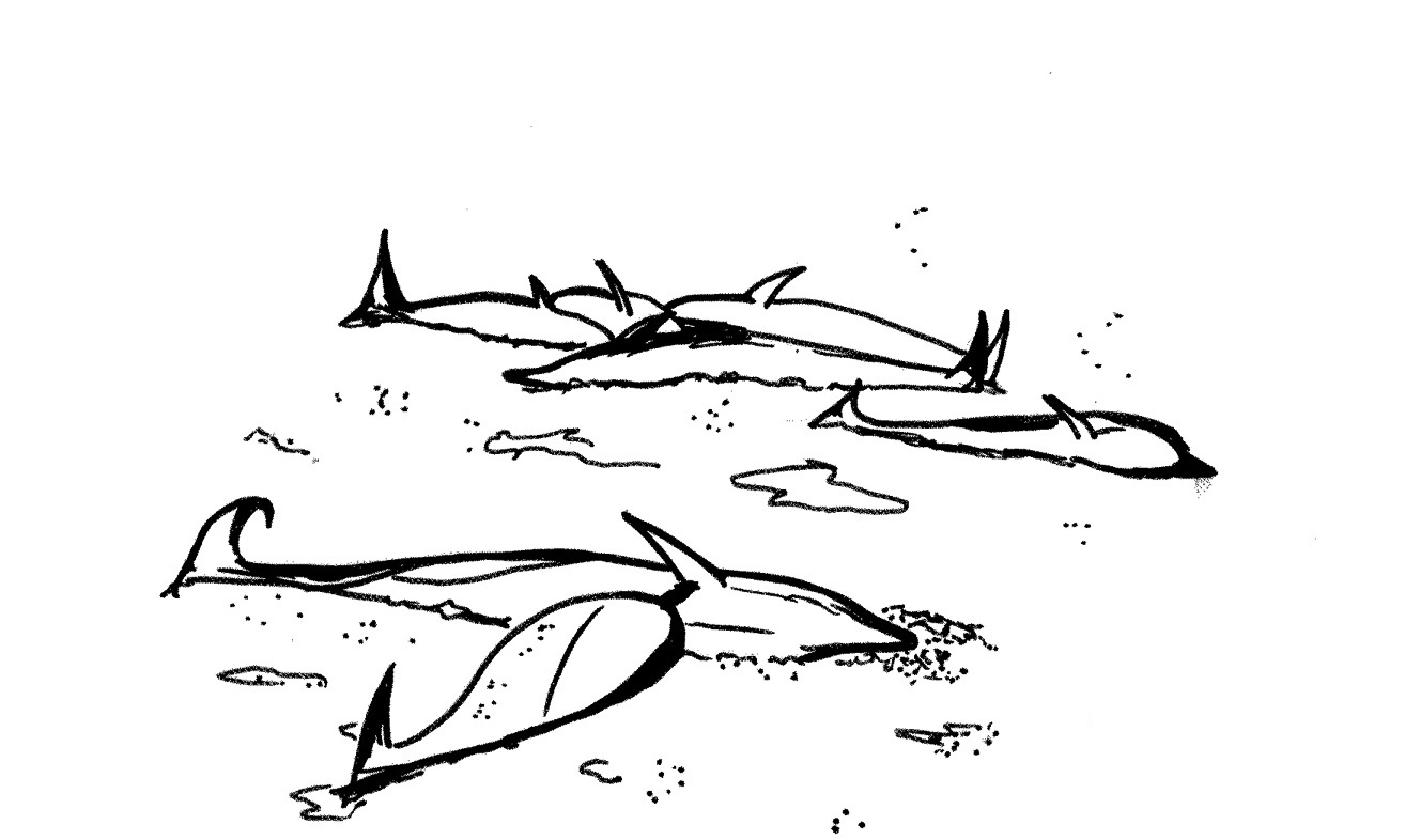 Disegno da colorare: Beluga (Animali) #1079 - Pagine da Colorare Stampabili Gratuite