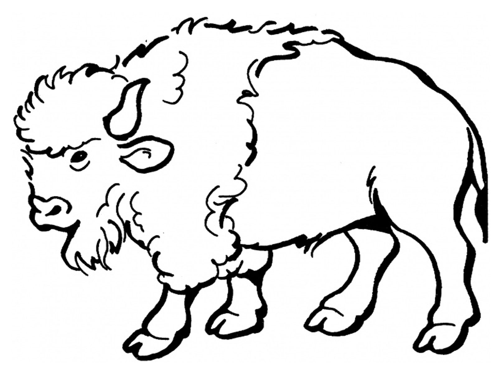 Disegno da colorare: Bisonte (Animali) #1190 - Pagine da Colorare Stampabili Gratuite