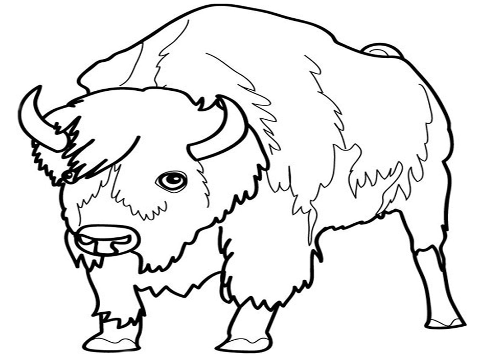 Disegno da colorare: Bisonte (Animali) #1201 - Pagine da Colorare Stampabili Gratuite