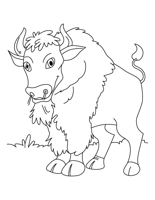 Disegno da colorare: Bisonte (Animali) #1219 - Pagine da Colorare Stampabili Gratuite