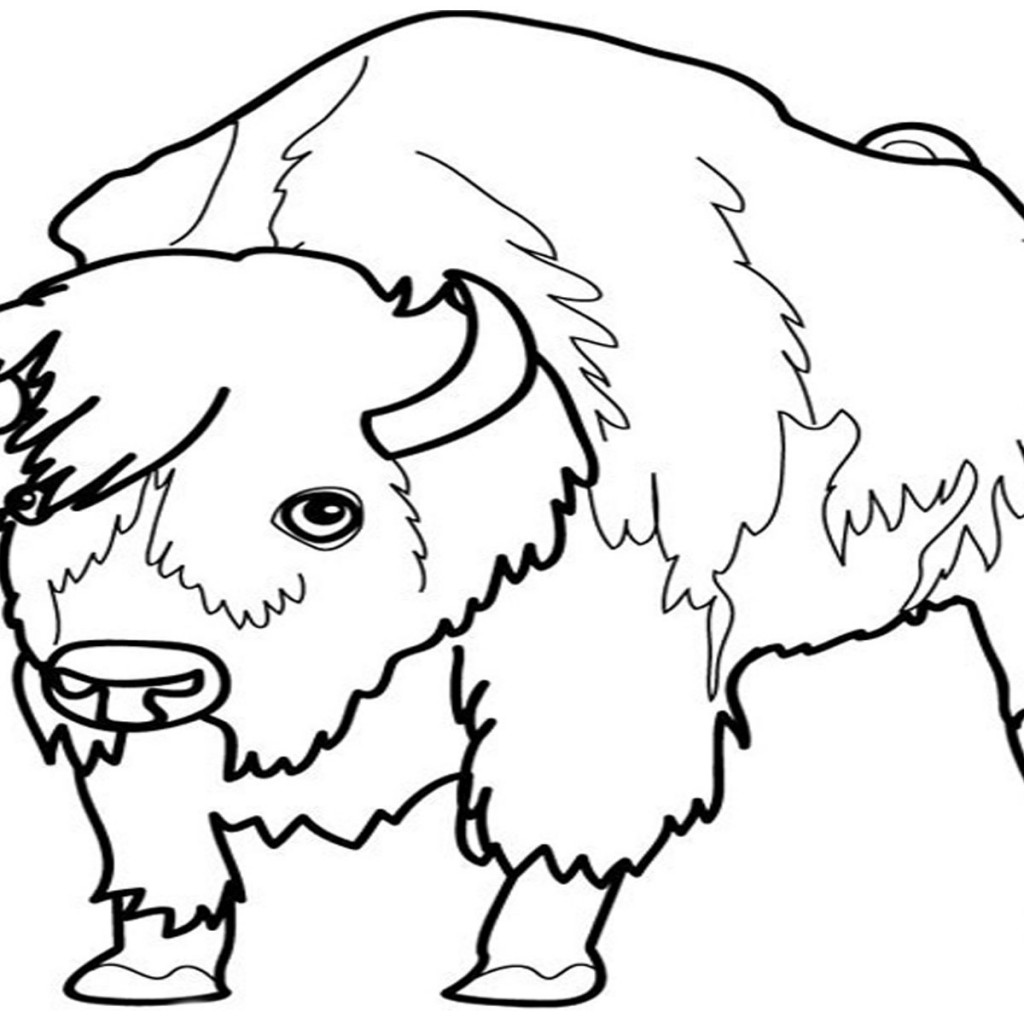 Disegno da colorare: Bisonte (Animali) #1252 - Pagine da Colorare Stampabili Gratuite