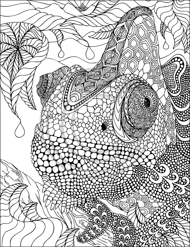 Disegno da colorare: Camaleonte (Animali) #1404 - Pagine da Colorare Stampabili Gratuite
