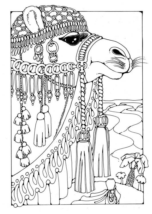 Disegno da colorare: Cammello (Animali) #1694 - Pagine da Colorare Stampabili Gratuite