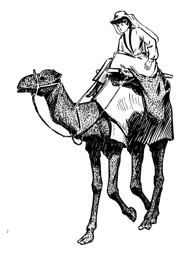 Disegno da colorare: Cammello (Animali) #1705 - Pagine da Colorare Stampabili Gratuite