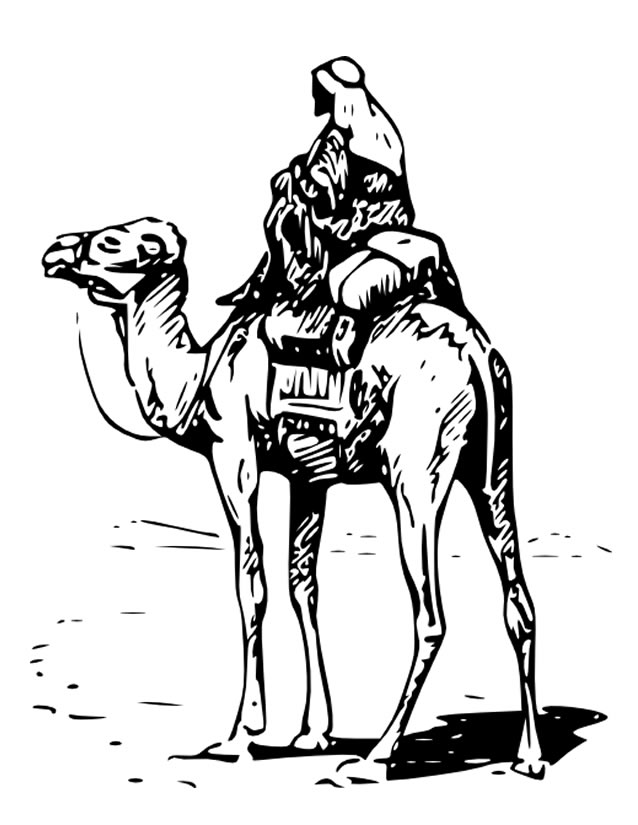 Disegno da colorare: Cammello (Animali) #1729 - Pagine da Colorare Stampabili Gratuite