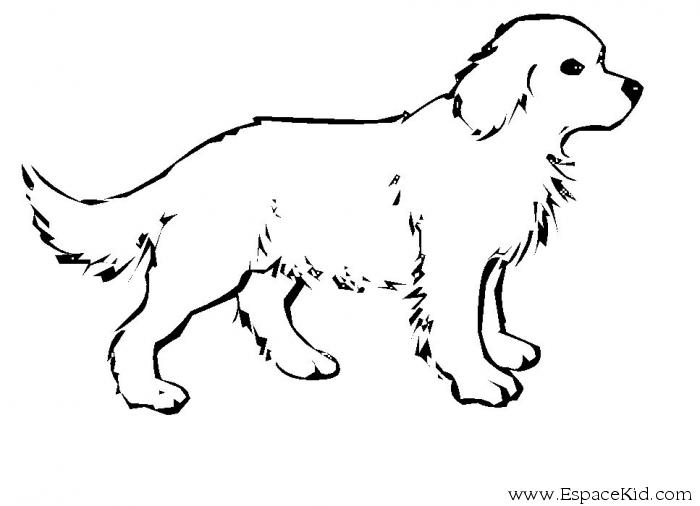 Disegno da colorare: Cane (Animali) #14 - Pagine da Colorare Stampabili Gratuite