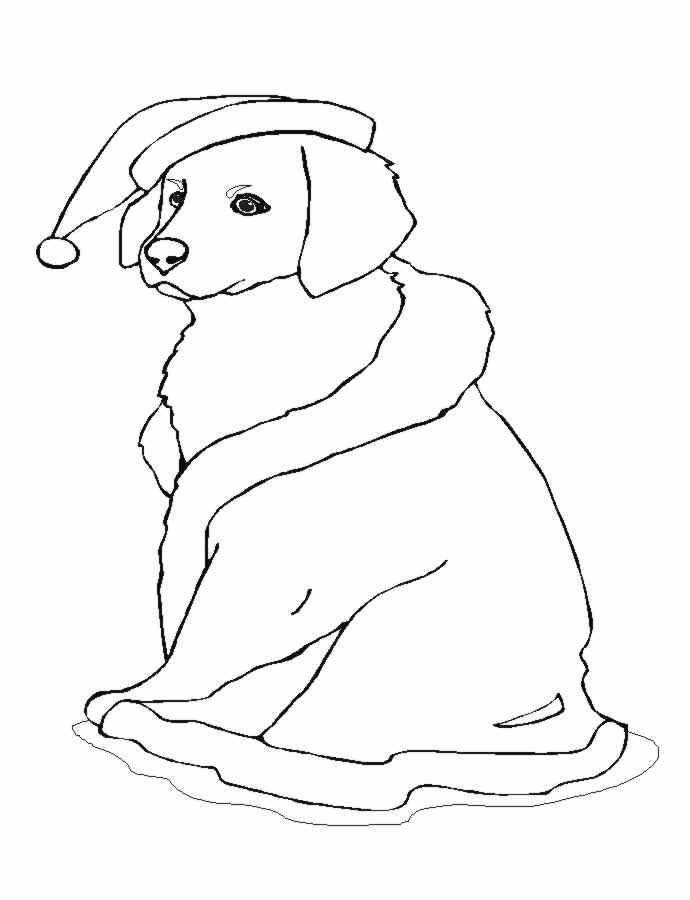 Disegno da colorare: Cane (Animali) #19 - Pagine da Colorare Stampabili Gratuite