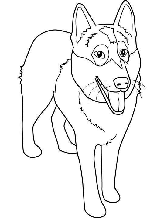 Disegno da colorare: Cane (Animali) #30 - Pagine da Colorare Stampabili Gratuite