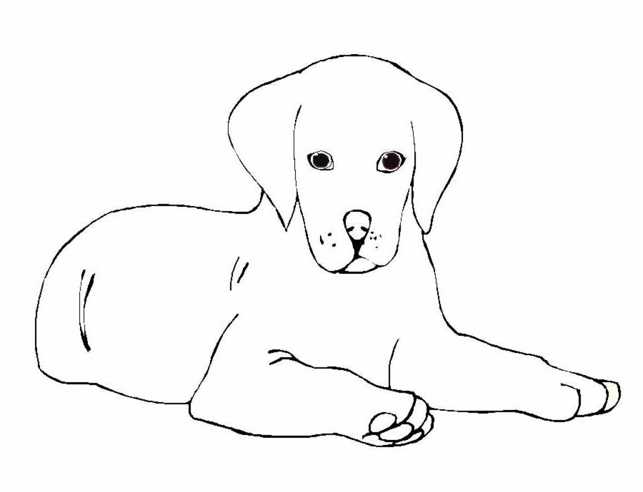Disegno da colorare: Cane (Animali) #3108 - Pagine da Colorare Stampabili Gratuite
