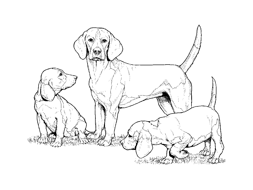 Disegno da colorare: Cane (Animali) #3111 - Pagine da Colorare Stampabili Gratuite