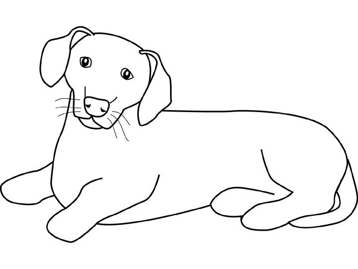 Disegno da colorare: Cane (Animali) #3126 - Pagine da Colorare Stampabili Gratuite