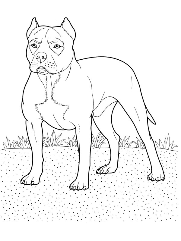Disegno da colorare: Cane (Animali) #3138 - Pagine da Colorare Stampabili Gratuite