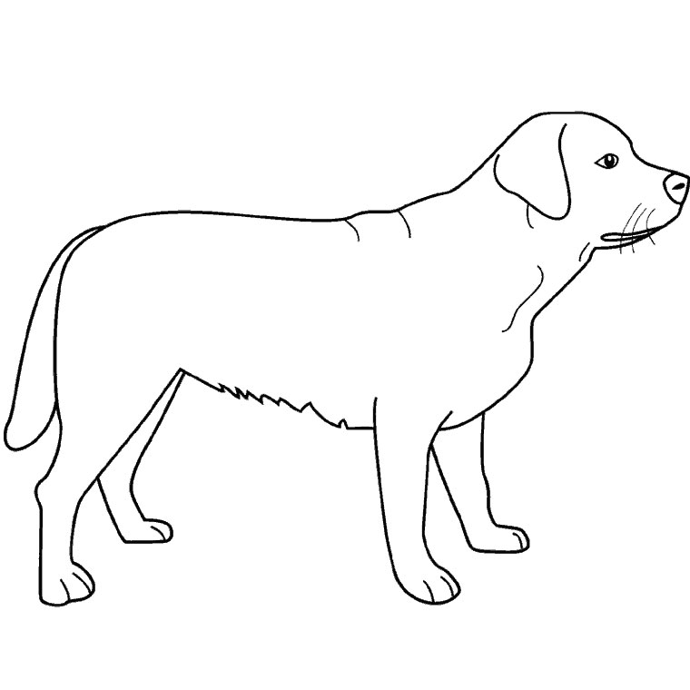 Disegno da colorare: Cane (Animali) #3139 - Pagine da Colorare Stampabili Gratuite