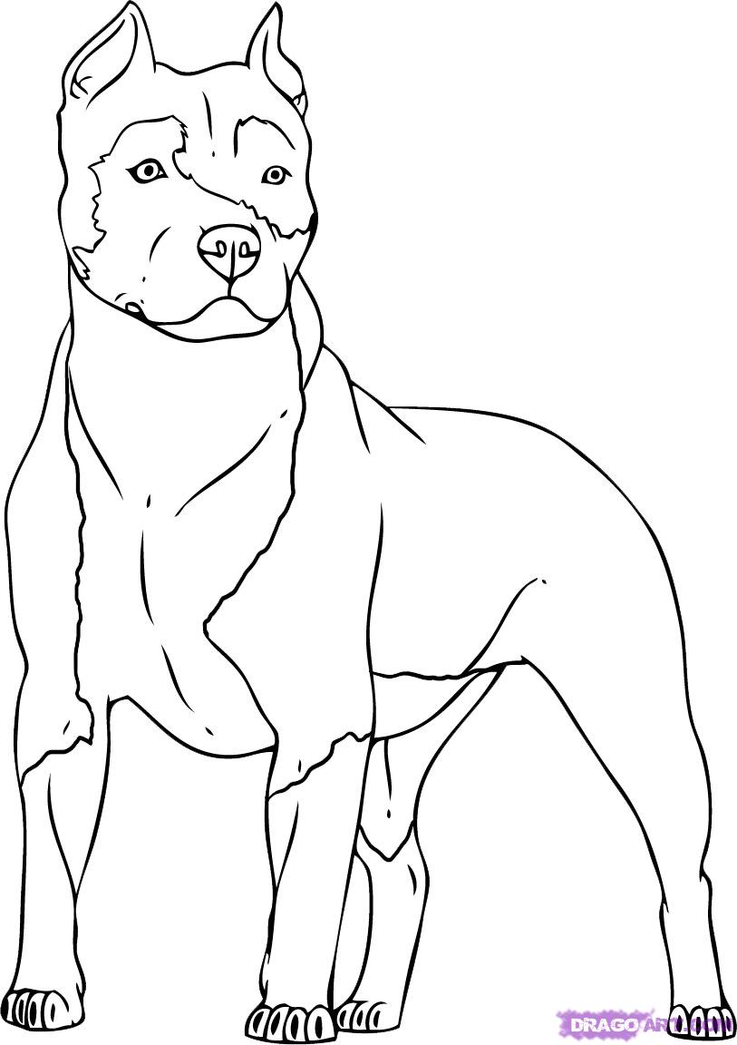 Disegno da colorare: Cane (Animali) #3149 - Pagine da Colorare Stampabili Gratuite