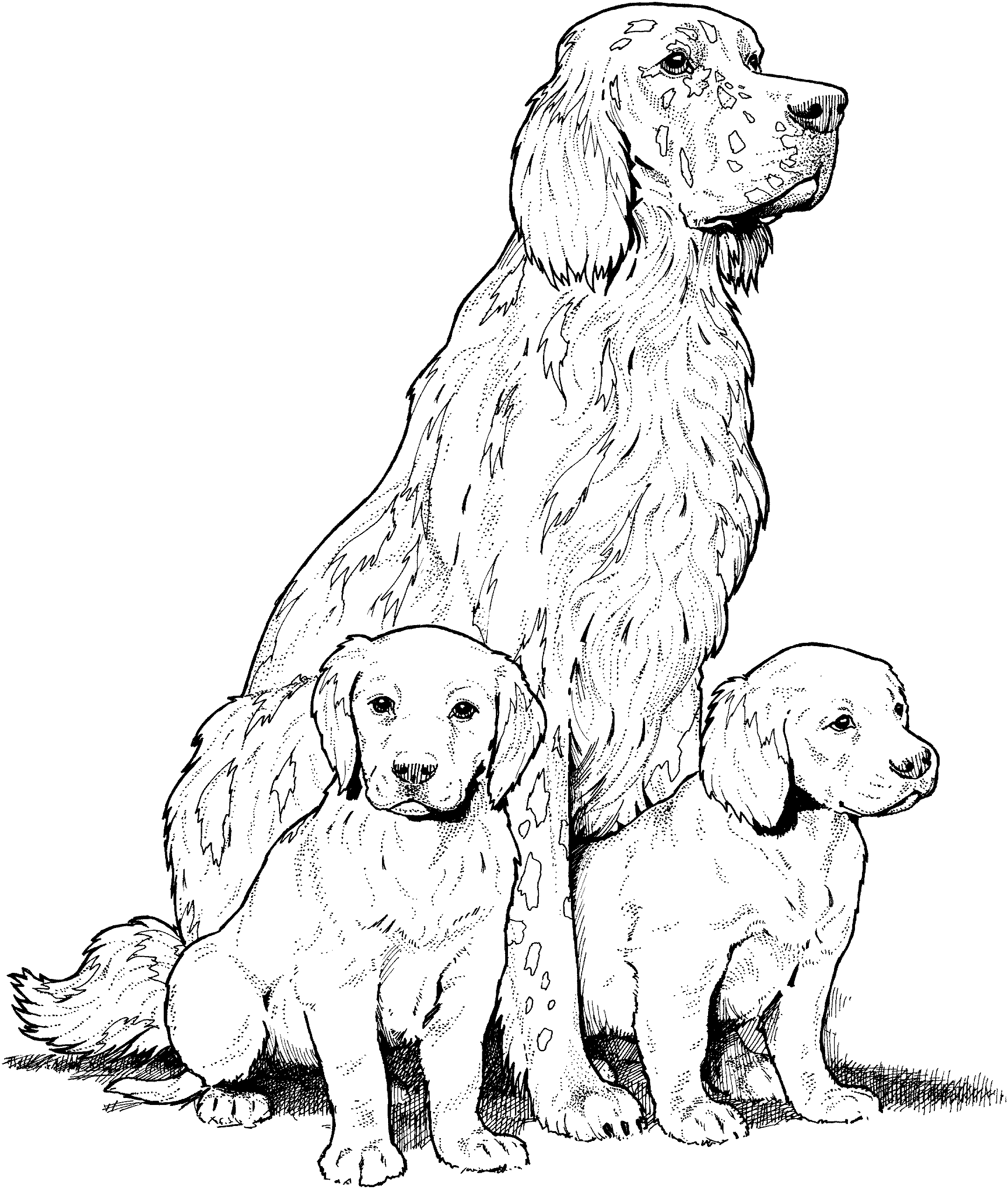 Disegno da colorare: Cane (Animali) #3167 - Pagine da Colorare Stampabili Gratuite