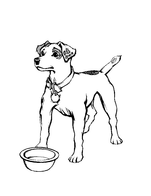 Disegno da colorare: Cane (Animali) #3169 - Pagine da Colorare Stampabili Gratuite