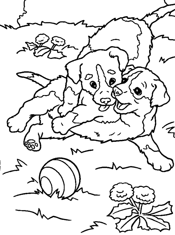 Disegno da colorare: Cane (Animali) #3174 - Pagine da Colorare Stampabili Gratuite