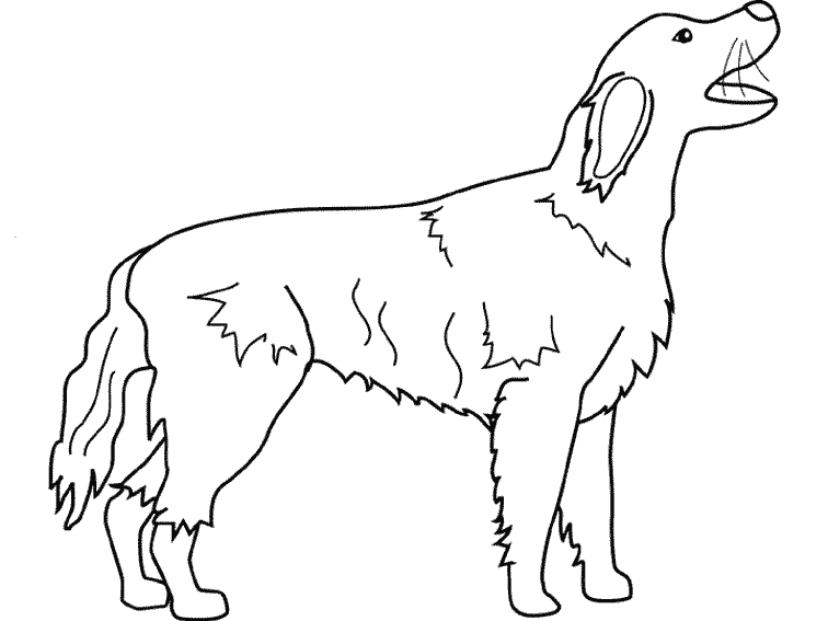 Disegno da colorare: Cane (Animali) #3179 - Pagine da Colorare Stampabili Gratuite