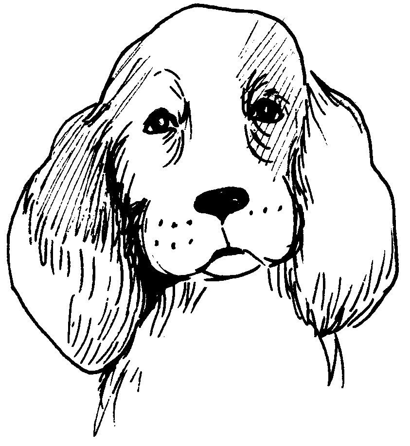 Disegno da colorare: Cane (Animali) #3184 - Pagine da Colorare Stampabili Gratuite