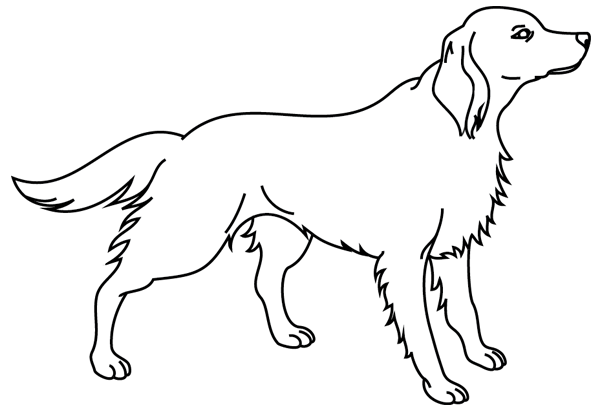 Disegno da colorare: Cane (Animali) #3190 - Pagine da Colorare Stampabili Gratuite
