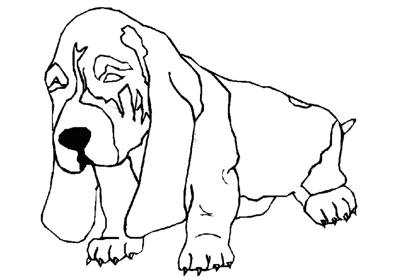 Disegno da colorare: Cane (Animali) #3195 - Pagine da Colorare Stampabili Gratuite