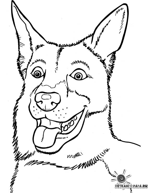 Disegno da colorare: Cane (Animali) #3218 - Pagine da Colorare Stampabili Gratuite