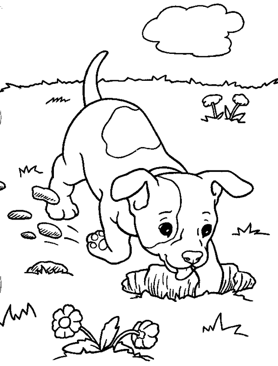 Disegno da colorare: Cane (Animali) #44 - Pagine da Colorare Stampabili Gratuite