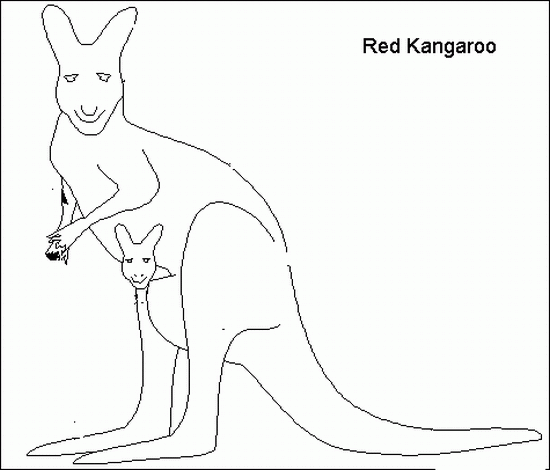 Disegno da colorare: Canguro (Animali) #9123 - Pagine da Colorare Stampabili Gratuite